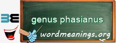 WordMeaning blackboard for genus phasianus